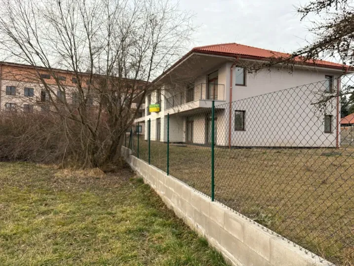 photo19
